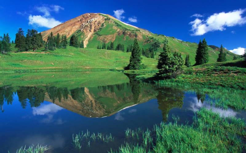 油门社教你学会正确养车